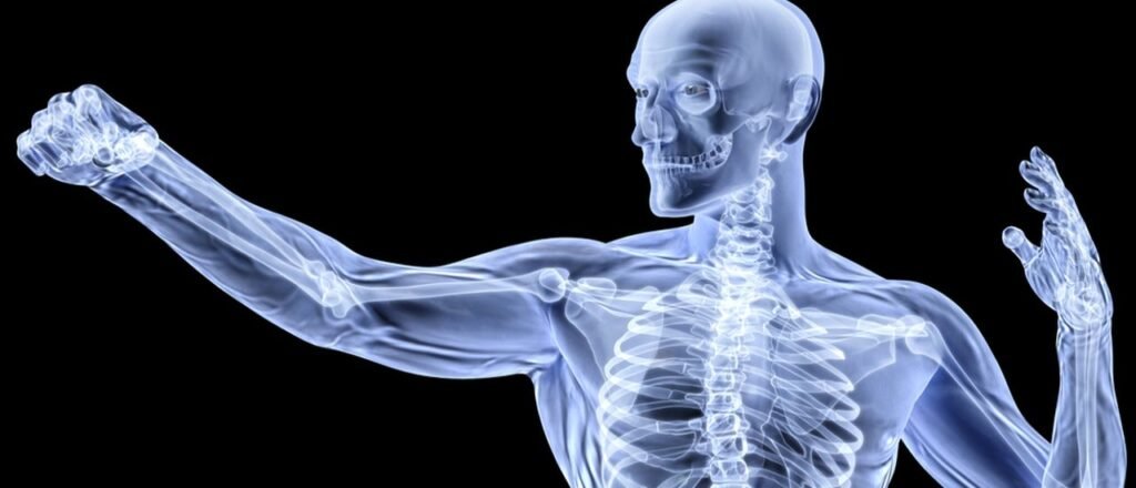 bone health supplements An xray image of a man using Musculoskeletal and bone health supplements